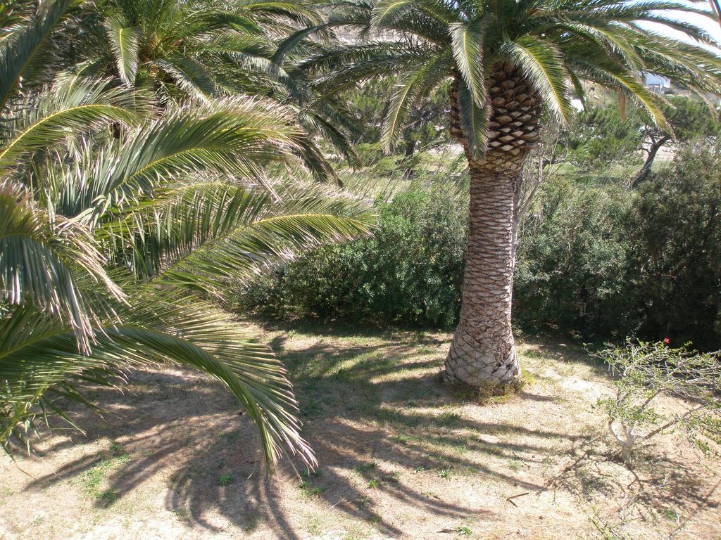 Avra Palm Aparthotel Ιεράπετρα Εξωτερικό φωτογραφία