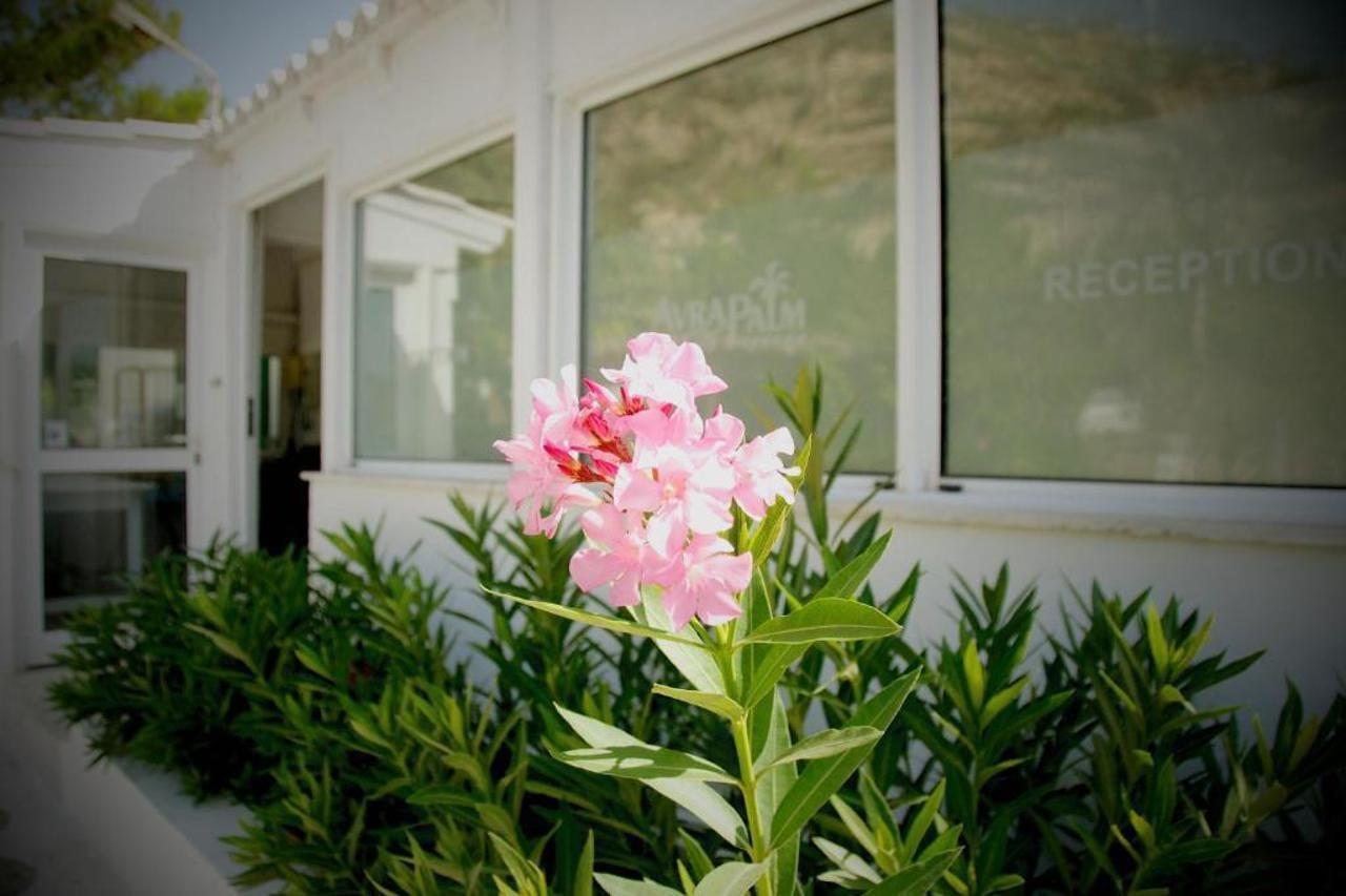 Avra Palm Aparthotel Ιεράπετρα Εξωτερικό φωτογραφία