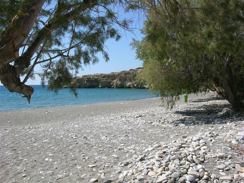 Avra Palm Aparthotel Ιεράπετρα Εξωτερικό φωτογραφία
