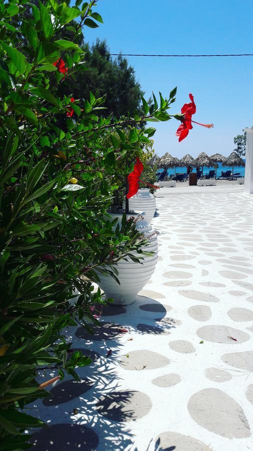 Avra Palm Aparthotel Ιεράπετρα Εξωτερικό φωτογραφία